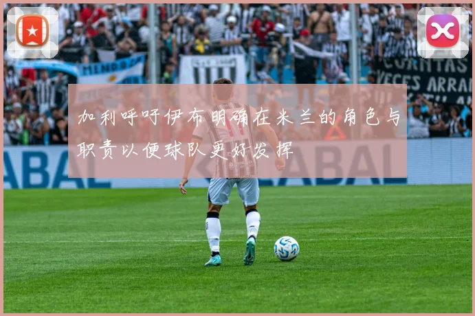 加利呼吁伊布明确在米兰的角色与职责以便球队更好发挥